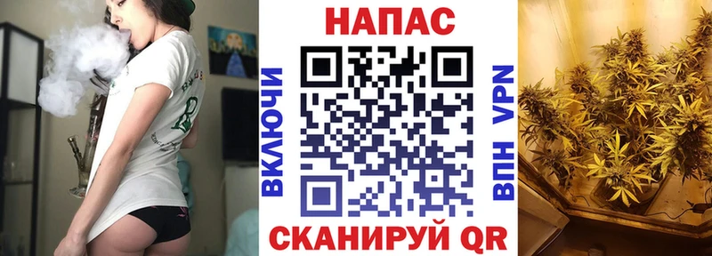 гидра вход  Арамиль  Бошки Шишки White Widow 